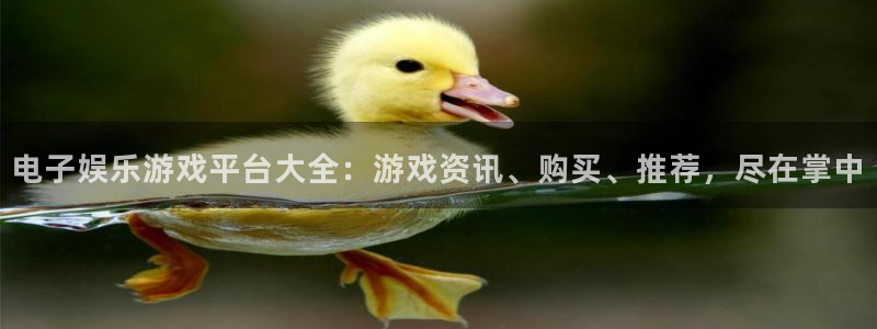 伟德国际1946体育免费注册入口：电子娱乐游戏平台大全：游戏资讯、购买、推荐，尽在掌中