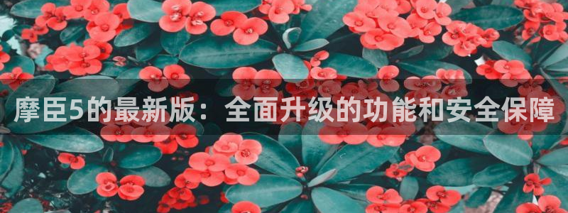 伟德国际19465招商：摩臣5的最新版：全面升级的功能和安全保障