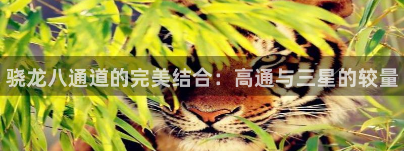 伟德国际1946零能源集团：骁龙八通道的完美结合：高通与三星的较量