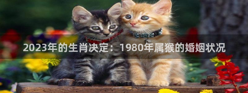 伟德国际1946环保：2023年的生肖决定：1980年属猴的婚姻状况