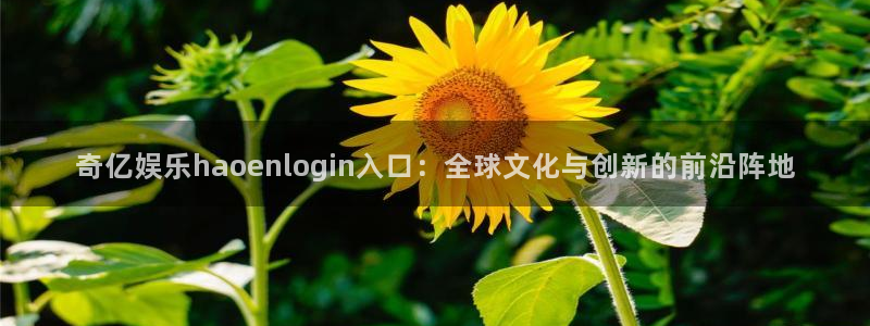 伟德国际1946体育凯捷平台招商：奇亿娱乐haoenlogin入口：全球文化与创