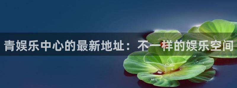 伟德国际19463平台注册：青娱乐中心的最新地址：不一样的娱乐空间