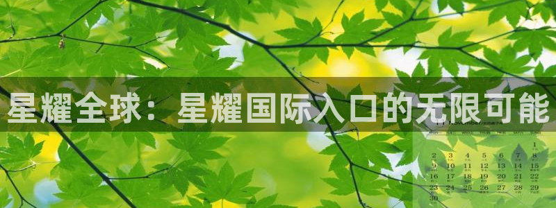 伟德国际1946体育注册：星耀全球：星耀国际入口的无限可能