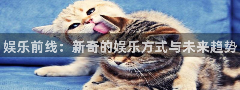 伟德国际1946登录界面入口：娱乐前线：新奇的娱乐方式与未来趋势