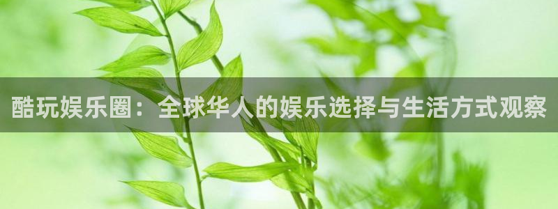 伟德国际19464：酷玩娱乐圈：全球华人的娱乐选择与生活方式观察