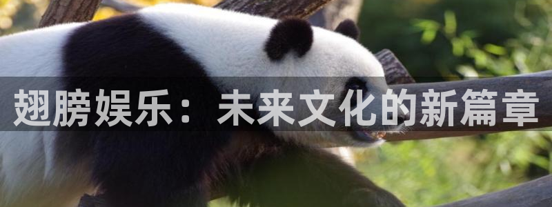 伟德国际19464平台：翅膀娱乐：未来文化的新篇章