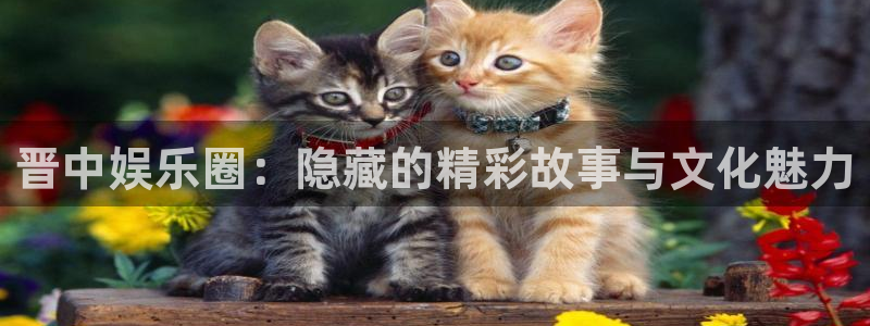 伟德国际1946体育官网入口登录：晋中娱乐圈：隐藏的精彩故事与文化魅力