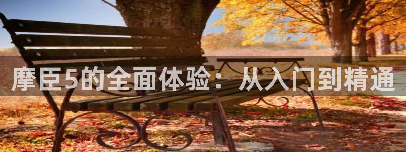 伟德国际1946体育免费注册入口：摩臣5的全面体验：从入门到精通