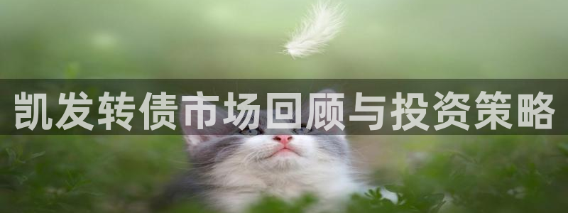 伟德国际1946平台：凯发转债市场回顾与投资策略