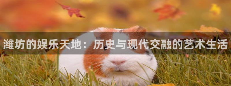 伟德国际1946体育论坛：潍坊的娱乐天地：历史与现代交融的艺术生活