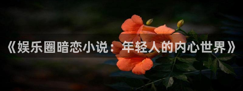 伟德国际19462平台：《娱乐圈暗恋小说：年轻人的内心世界》