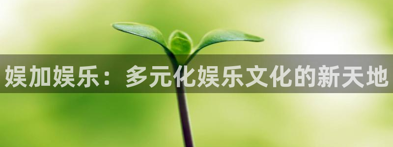 伟德国际1946体育eon：娱加娱乐：多元化娱乐文化的新天地