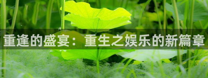 伟德国际19462体育登录入口：重逢的盛宴：重生之娱乐的新篇章