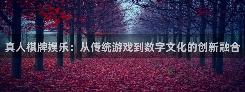 伟德国际19464登录：真人棋牌娱乐：从传统游戏到数字文化的创新融合