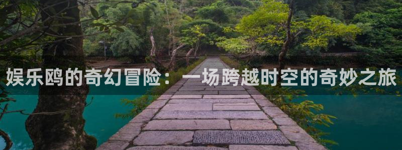 伟德国际1946官网：娱乐鸥的奇幻冒险：一场跨越时空的奇妙之旅