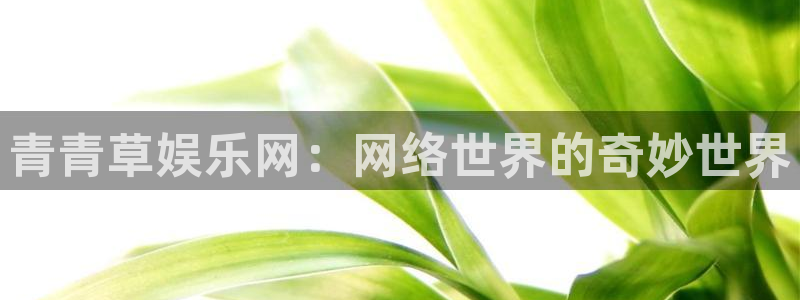 伟德国际1946能源：青青草娱乐网：网络世界的奇妙世界