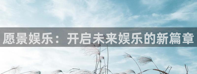伟德国际1946体育游戏：愿景娱乐：开启未来娱乐的新篇章