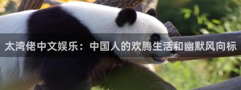 德国伟德国际1946集团：太湾佬中文娱乐：中国人的欢腾生活和幽默风向标