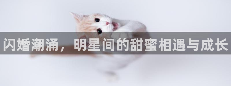 伟德国际1946体育在线注册：闪婚潮涌，明星间的甜蜜相遇与成长