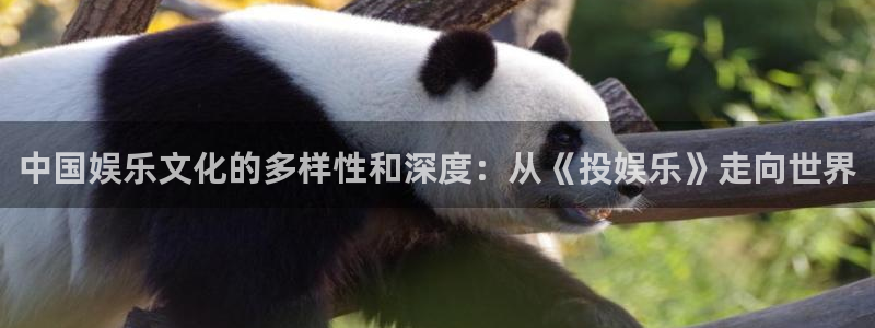 伟德国际19463代理：中国娱乐文化的多样性和深度：从《投娱乐》走向世界