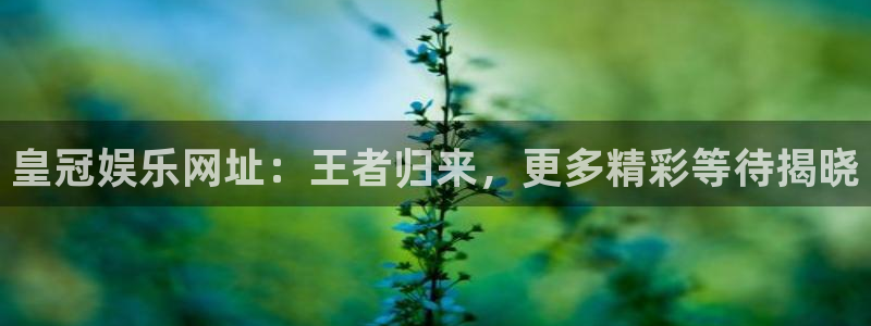 伟德国际1946体育免费注册入口：皇冠娱乐网址：王者归来，更多精彩等待揭晓