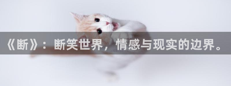 成都伟德国际1946电子有限公司：《断》：断笑世界，情感与现实的边界。