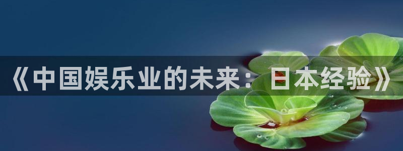 伟德国际19462注册：《中国娱乐业的未来：日本经验》