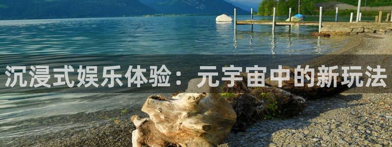 伟德国际1946集团总部：沉浸式娱乐体验：元宇宙中的新玩法