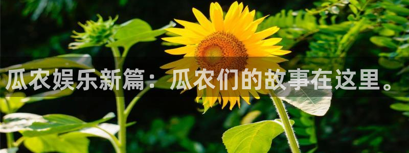 伟德国际1946体育凯捷平台代理：瓜农娱乐新篇：瓜农们的故事在这里。